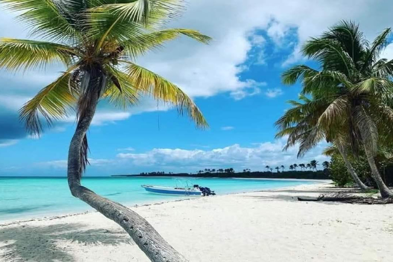 Punta Cana: Saona Island Day Trip with Lunch & Drinks