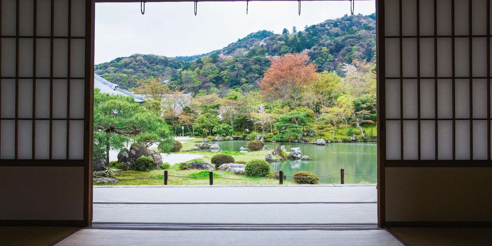 Kyoto experience — temples, geisha, bamboo grove — image 42