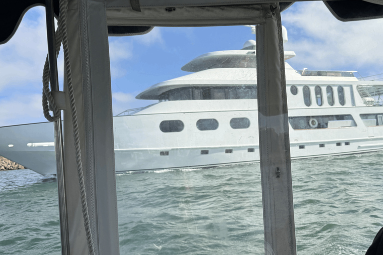 马里纳德尔雷：1小时游船之旅玛丽娜德尔雷：1小时游船之旅