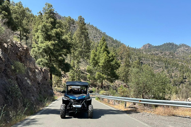 FAMILY FUN MONSTER BUGGY TOUR FAMILY MONSTER BUGGY FUN AFTERNOON