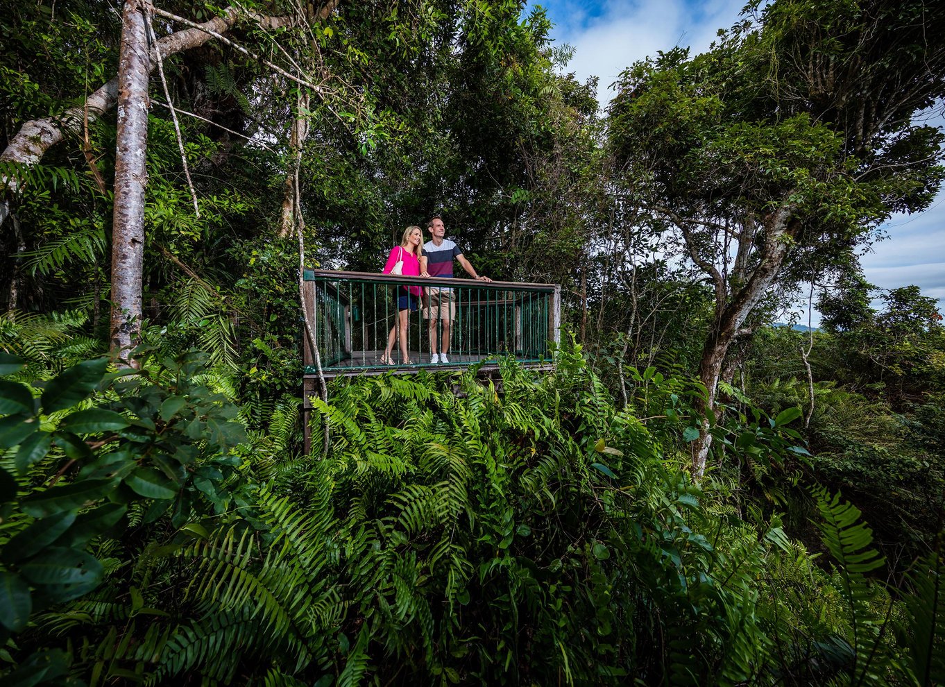 Fra Cairns: Selvguidet Kuranda-tur med tog og Skyrail