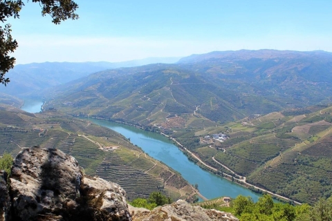 Oporto: Excursión por el Valle del Duero con Crucero, Almuerzo y Cata de VinosVisita privada