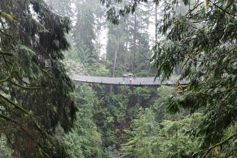 4Tour:Capilano Suspension Br/CAR/Small GROUP+Lago+Dam+Hacher