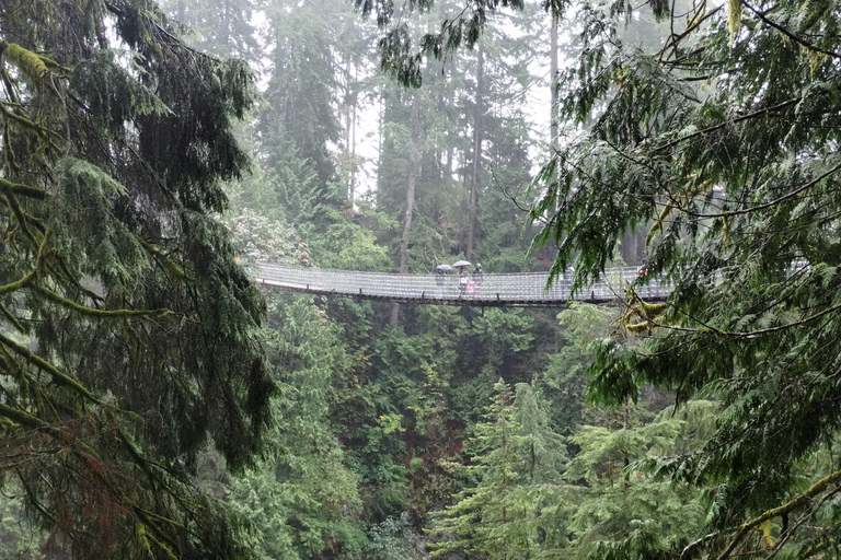 4Tour:Capilano Suspension Br/CAR/Kleingruppe+See+Damm+Hacher