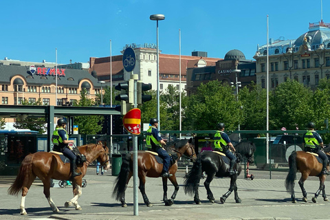 Helsinki: City Highlights and Seurasaari Day Tour