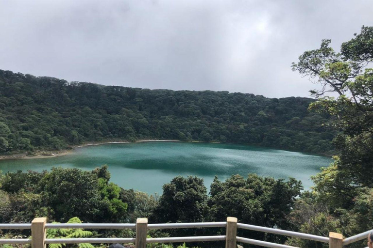 From San José: Poás Volcano,Local Coffee Farm & Birdwatching Poas volcano active crater, la Paz Waterfall & birdwatching