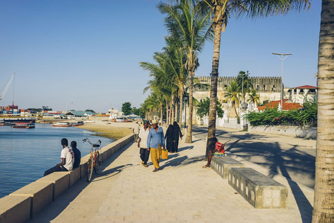 Från Zanzibar: Zanzibar Stone Town Tour