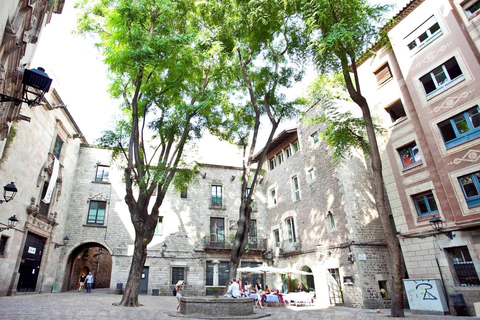 Barcelone et le Parc Güell : Visite d&#039;une demi-journée privée avec prise en chargeBarcelone et le Parc Güell : Visite privée d&#039;une demi-journée avec prise en charge