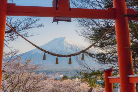 Tokyo: Mount Fuji Private Tour with Scenic Lunch Experience