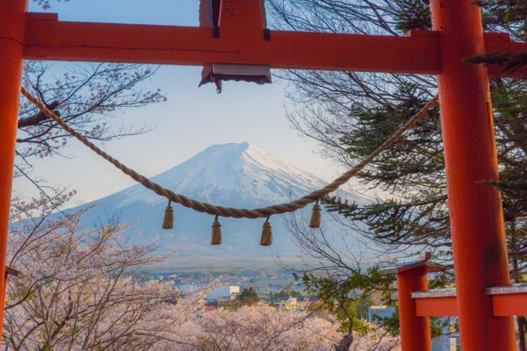 Tokyo: Mount Fuji Private Tour with Scenic Lunch Experience