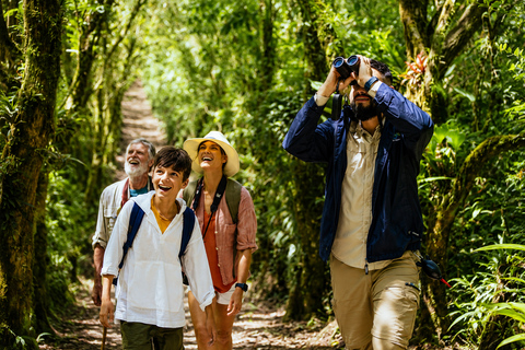 From Arusha: Arusha National Park Full-Day Safari & Walking
