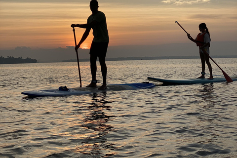 SUP w Kochi: Sunrise Stand-Up Paddleboarding Tour