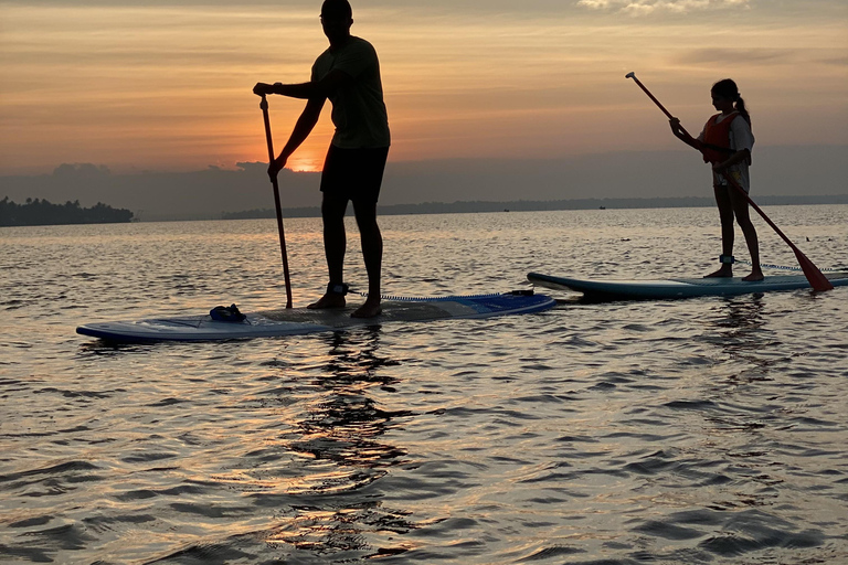 SUP w Kochi: Sunrise Stand-Up Paddleboarding Tour