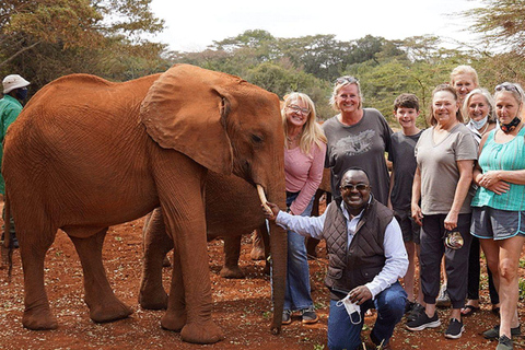 Nairobi nationalpark David Sheldrick Giraffcenter