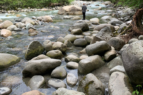 Vancouver: Regenwald-Wasserfall-Wanderung und Hängebrücke