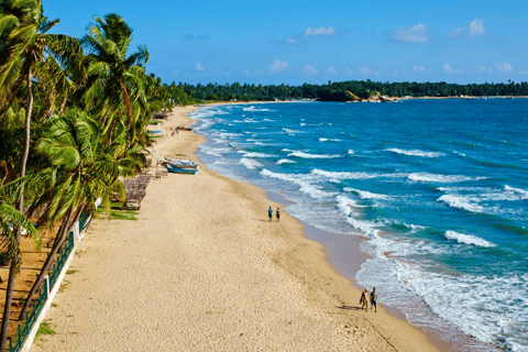 Sri Lanka: 9-Day Beach and Relaxation Tour with Transfers Excluding Hotels in a private Car