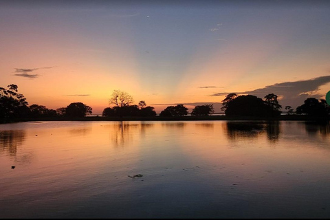 Jari Canal and Flavors of Vitória-Régia: Amazon River Experience