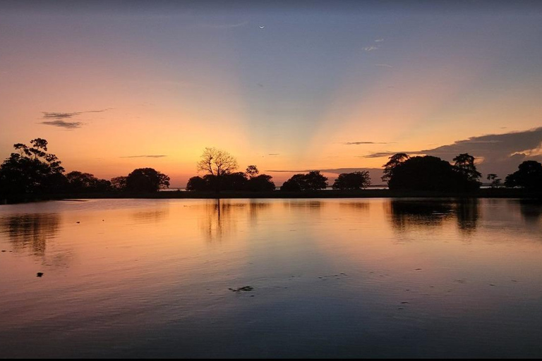 Jari Canal and Flavors of Vitória-Régia: Amazon River Experience