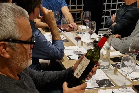 Mendoza: Degustação de vinhos premium