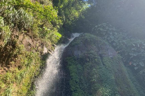 St. Vincent: Dark View Falls Tour