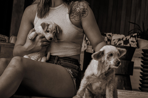 Le paradis des chiots du monde entier — Un bonheur balinais qui a du sensDécouvrez le paradis mondial des chiots à Thalassa Seseh