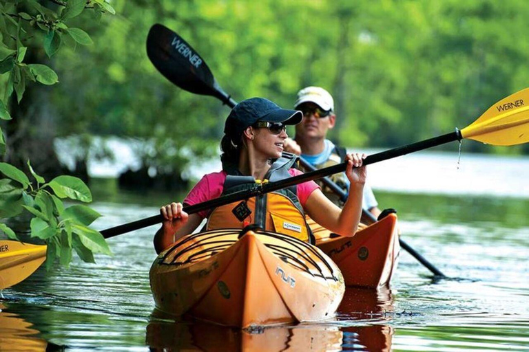 Explore Private Mangrove Kayak Adventure with Village Tour TRANSEER AND ENTRANCE FEE ALL ARE INCLUDED