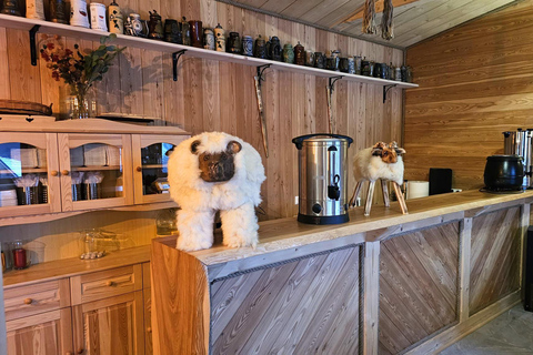 Krakow: Zakopane Quads, Bonfire Dining & Hot Springs Escape Zakopane Quads, Bonfire & Hot Springs — With Hotel Pickup