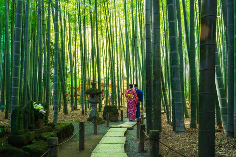 Tokyo: Kamakura Full-Day Private Tour With Best Itinerary