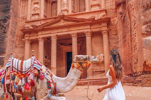 Tour privado de un día a Petra desde Ammán