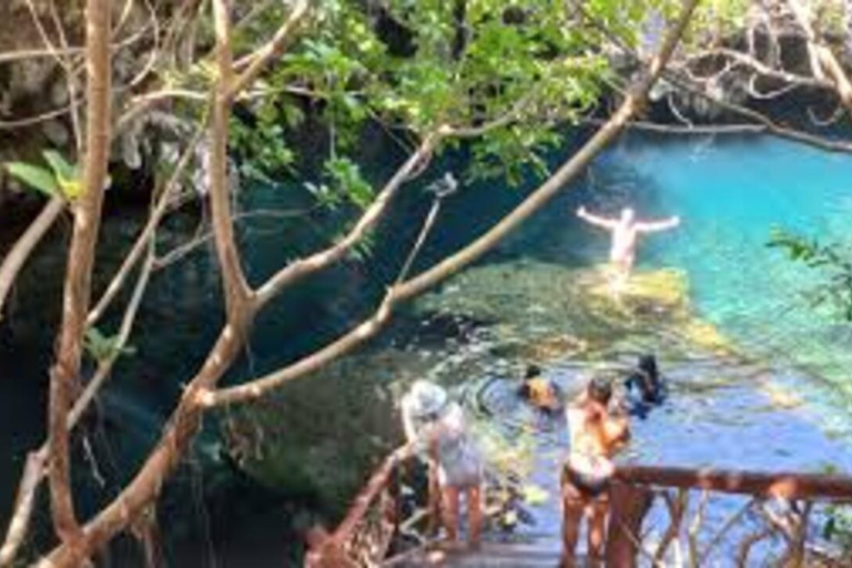 Foresta di Jozani e spiaggia di mtende