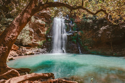 Nairobi: Caminhada pela Floresta Ngare Ndare e Canopy WalkNairobi: Caminhada pela Floresta Ngare Ndare e Passeio pela Copas das Árvores