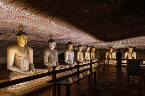 Sigiriya: Kandy Private Transfer with Tea Factory Visit