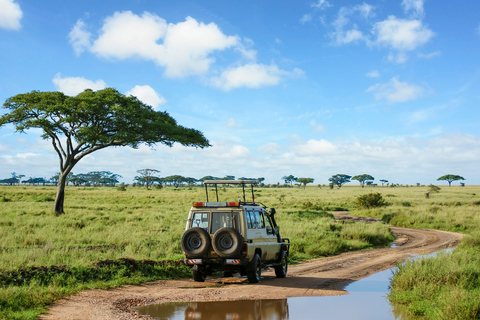 From Zanzibar: 1-Day Selous Safari with Flight & Lunch Selous Safari from Zanzibar – Without Transfer