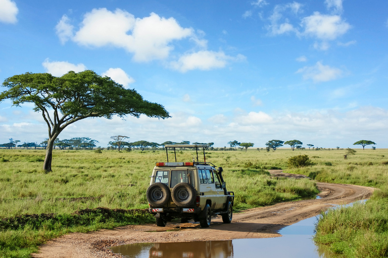 From Zanzibar: 1-Day Selous Safari with Flight & Lunch Selous Safari from Zanzibar – Without Transfer