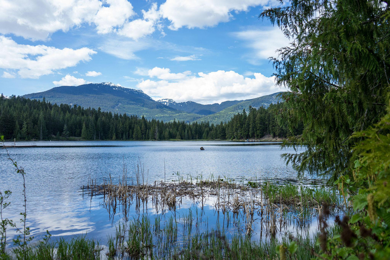 From Vancouver: Whistler Day Trip with Guided Village Tour Whistler Summer Adventure Tour