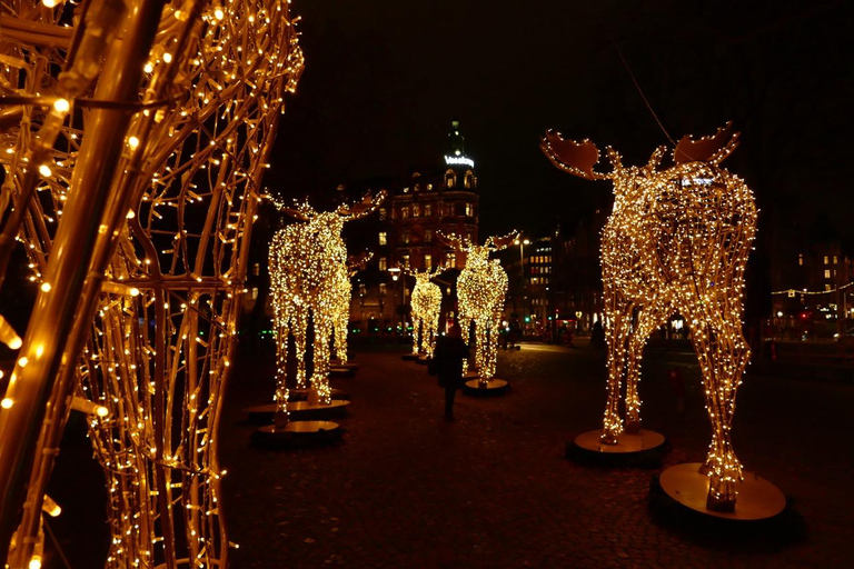 Stockholm: Christmas Lights and Market Walking Tour