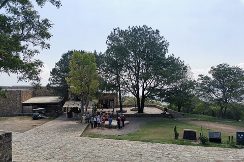 Visite guidée d&#039;une journée sur la route du Monte AlbanBillets et repas inclus