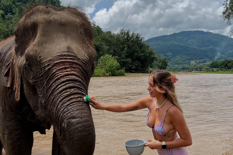 Chiang Mai Adventure: Rafting, ATV & Elephants Experience. Bamboo rafting (4km.) & 1 hrs. ATV.