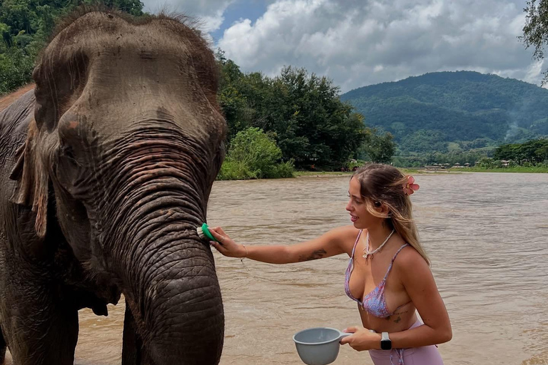 Chiang Mai Adventure: Rafting, ATV & Elephants Experience. Bamboo rafting (4km.) & 1 hrs. ATV.