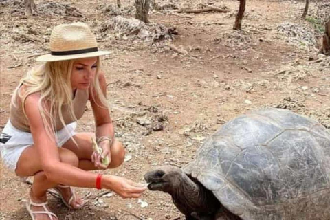 زنجبار: مدينة ستون، جزيرة السجن ومزرعة التوابل مع الغداءجولة خاصة بدون خدمة الاستقبال والتوصيل من 