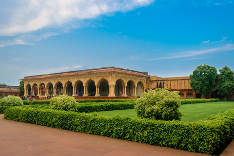 Desde Delhi : Excursión guiada de un día al Taj Mahal y al Fuerte de AgraExcursión sólo con coche y guía