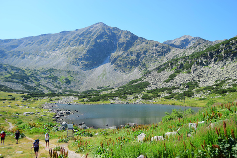 Musala Peak, Rila Mountains: Full-Day Hiking Tour from Sofia Climb Musala Summit with web Audioguide in EN,ES,IT,FR,DE,RU