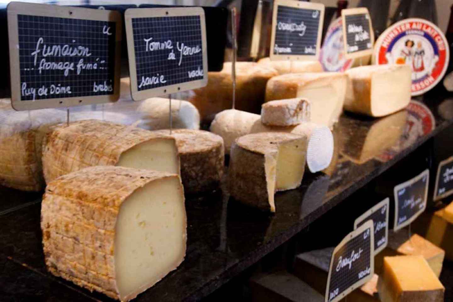 Bordeaux Gourmet Experience: Cheese & Wine Tasting - Bordeaux Gourmet Experience: Cheese & Wine Tasting