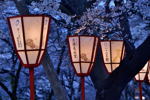 Bespoke Kanazawa Private Night Tour: Local Food & Secrets