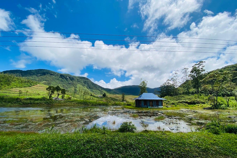 Art Lanka Knuckles Trekking