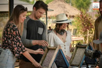 Pattaya, Elephant Jungle Sanctuary Feeding Experience - Housity