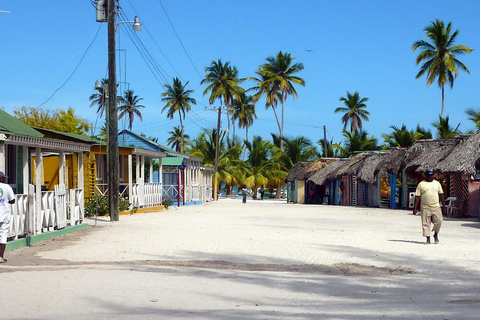 Private tour to Saona Island, Punta Cana