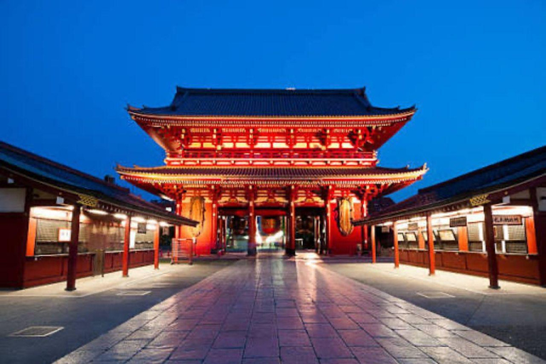 Tokyo: Guided City Tour with English guide