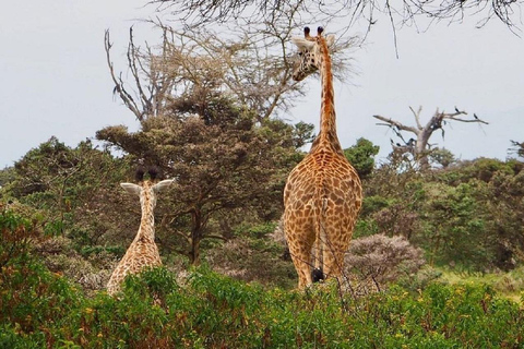 Nairobi: Crescent Island Walking Safari and Lake Naivasha Shared: Crescent Island and Lake Naivasha without Entry Fee