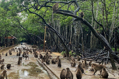 Cidade de Ho Chi Minh: Viagem de 1 dia à Ilha dos Macacos de Can Gio com almoço